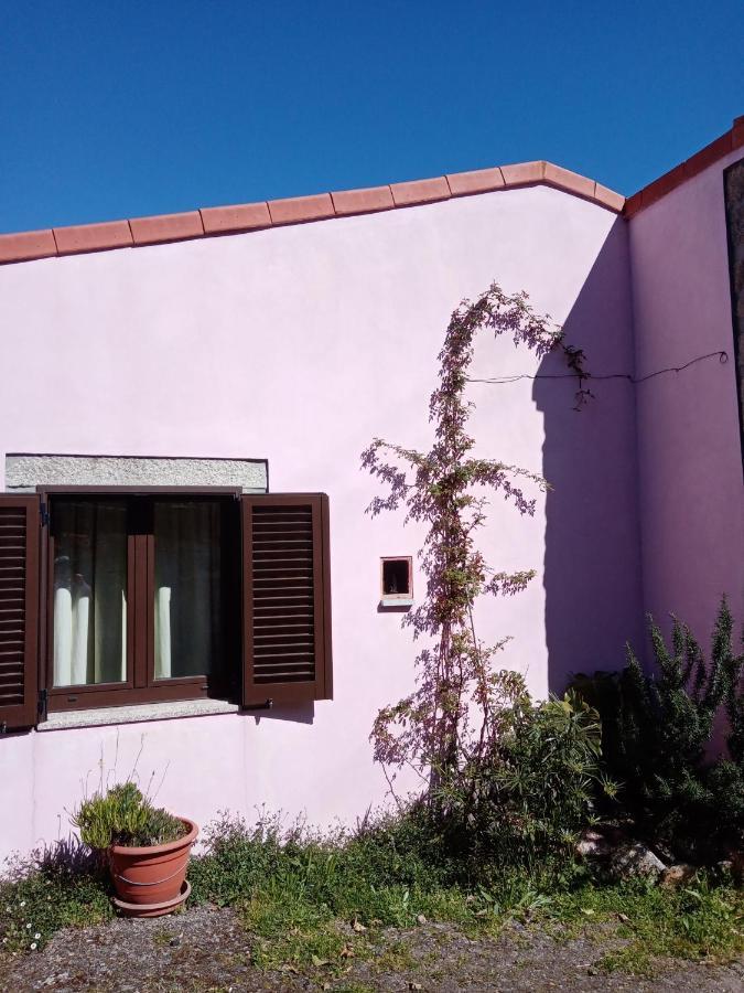 Pessego - Al Villa Arouca Exterior photo